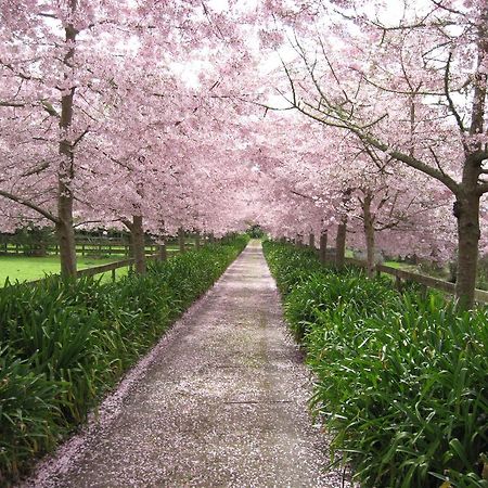 English Cherry Tree Manor Tamahere Екстер'єр фото