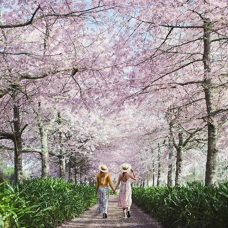 English Cherry Tree Manor Tamahere Екстер'єр фото